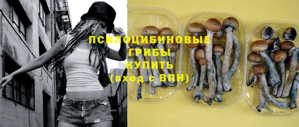 соль ск Михайлов
