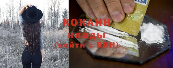 соль ск Михайлов