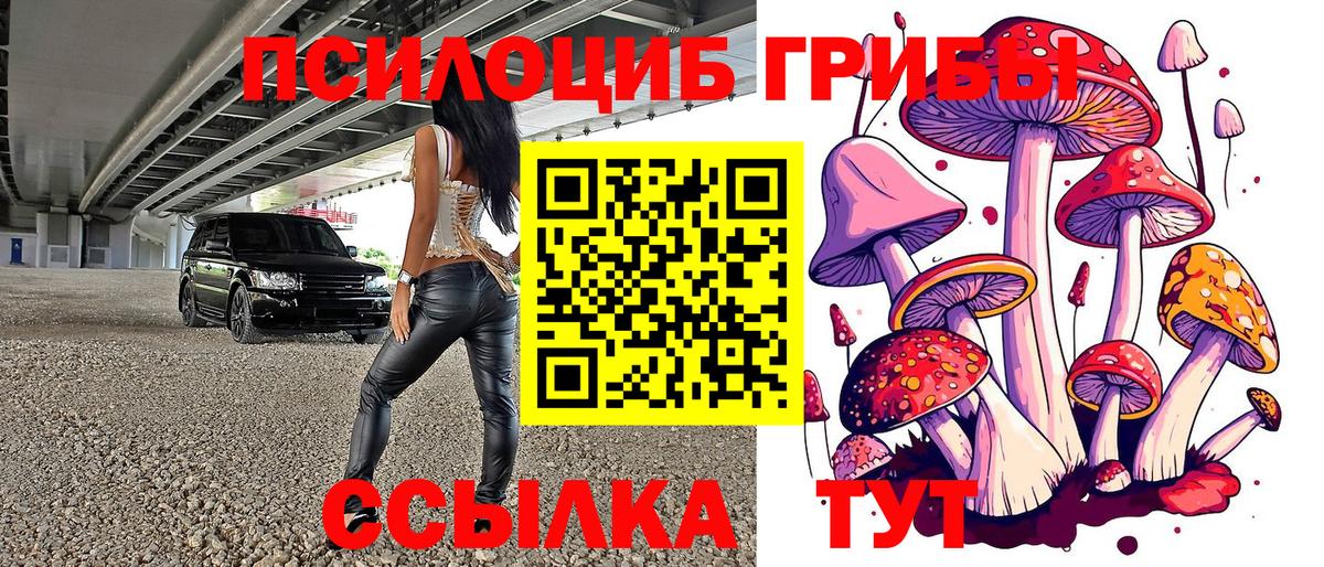 Псилоцибиновые грибы Cubensis  Вход с VPN  Тихорецк 